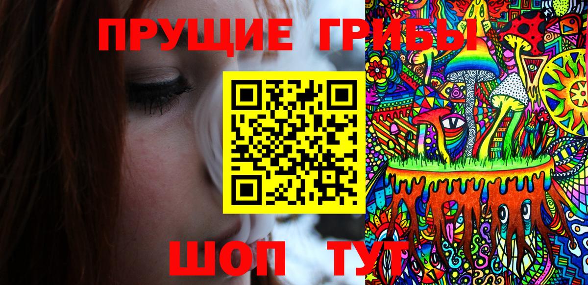 Сунжа  Галлюциногенные грибы ЛСД  Вход с VPN 
