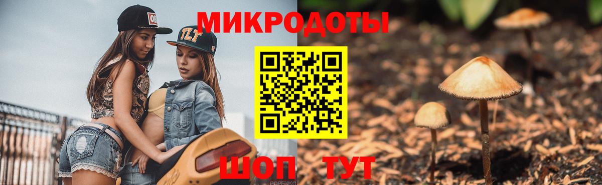 Псилоцибиновые грибы ЛСД Сунжа